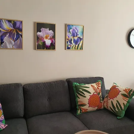 за гости ирис Iris Guest