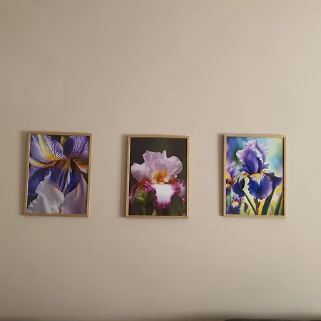 за гости ирис Iris Guest Veliko Tarnovo