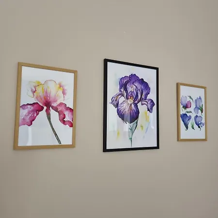 за гости ирис Iris Guest Apartmán Veliko Tarnovo