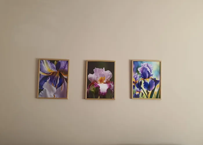 за гости ирис Iris Guest ヴェリコ・タルノヴォ